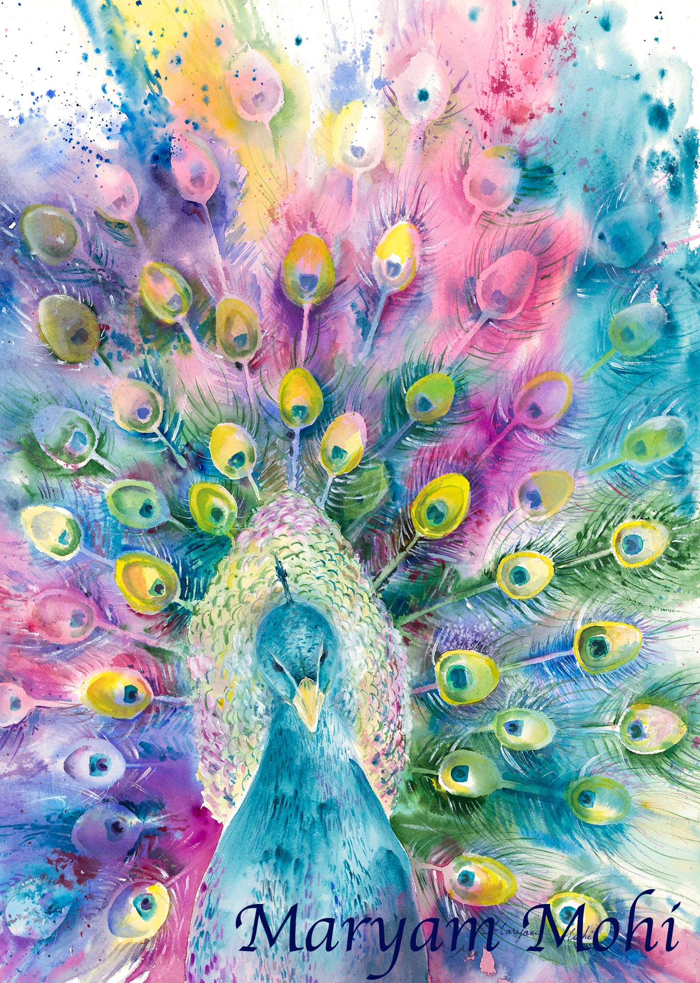 A Peacock's Palette -  Print on Arches Paper